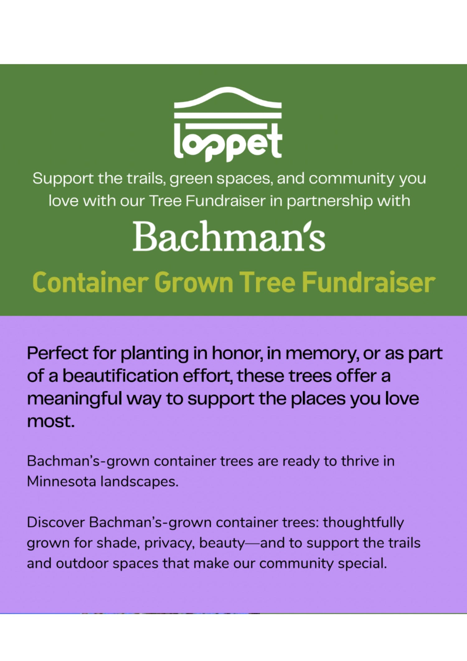 Bachman's Container Tree Fundraiser- ORDER BY MAY 10, 2026